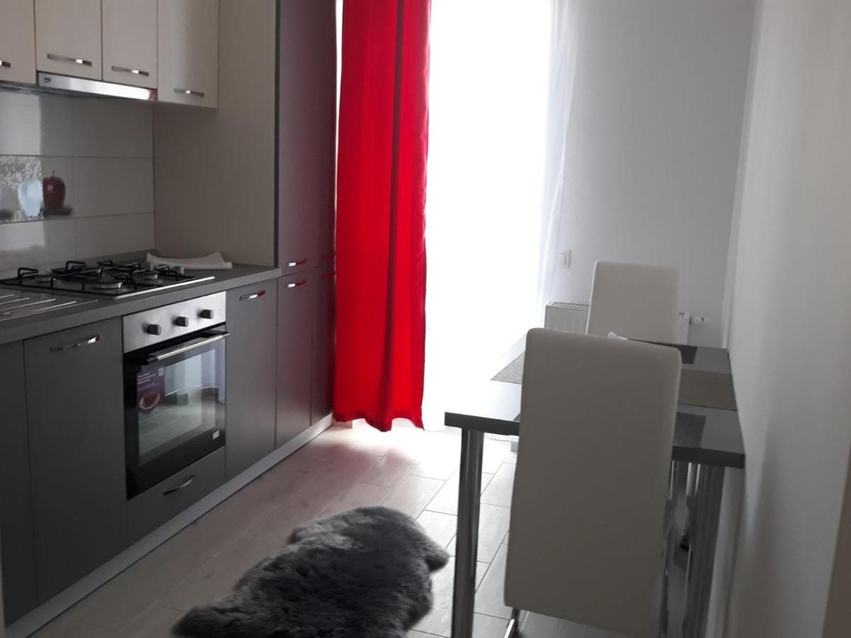 Apartament Avangarden Ema Verde Braşov Extérieur photo